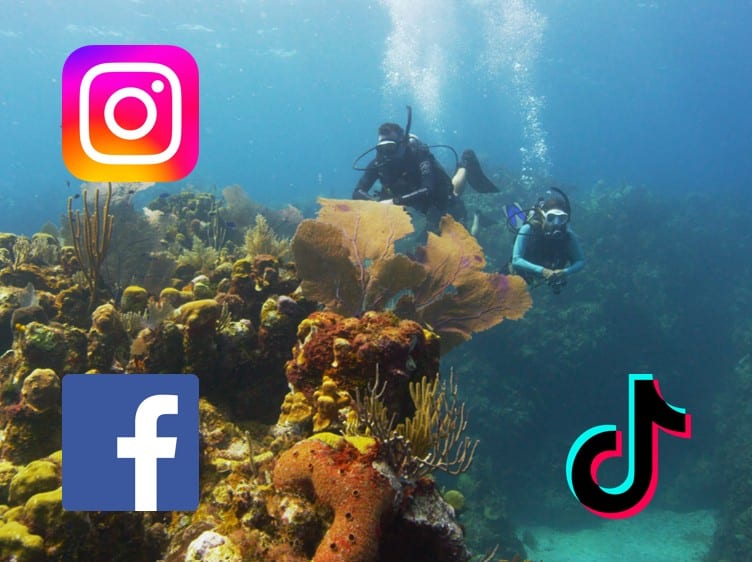 We Managed Dive HQ Digital Marketing
