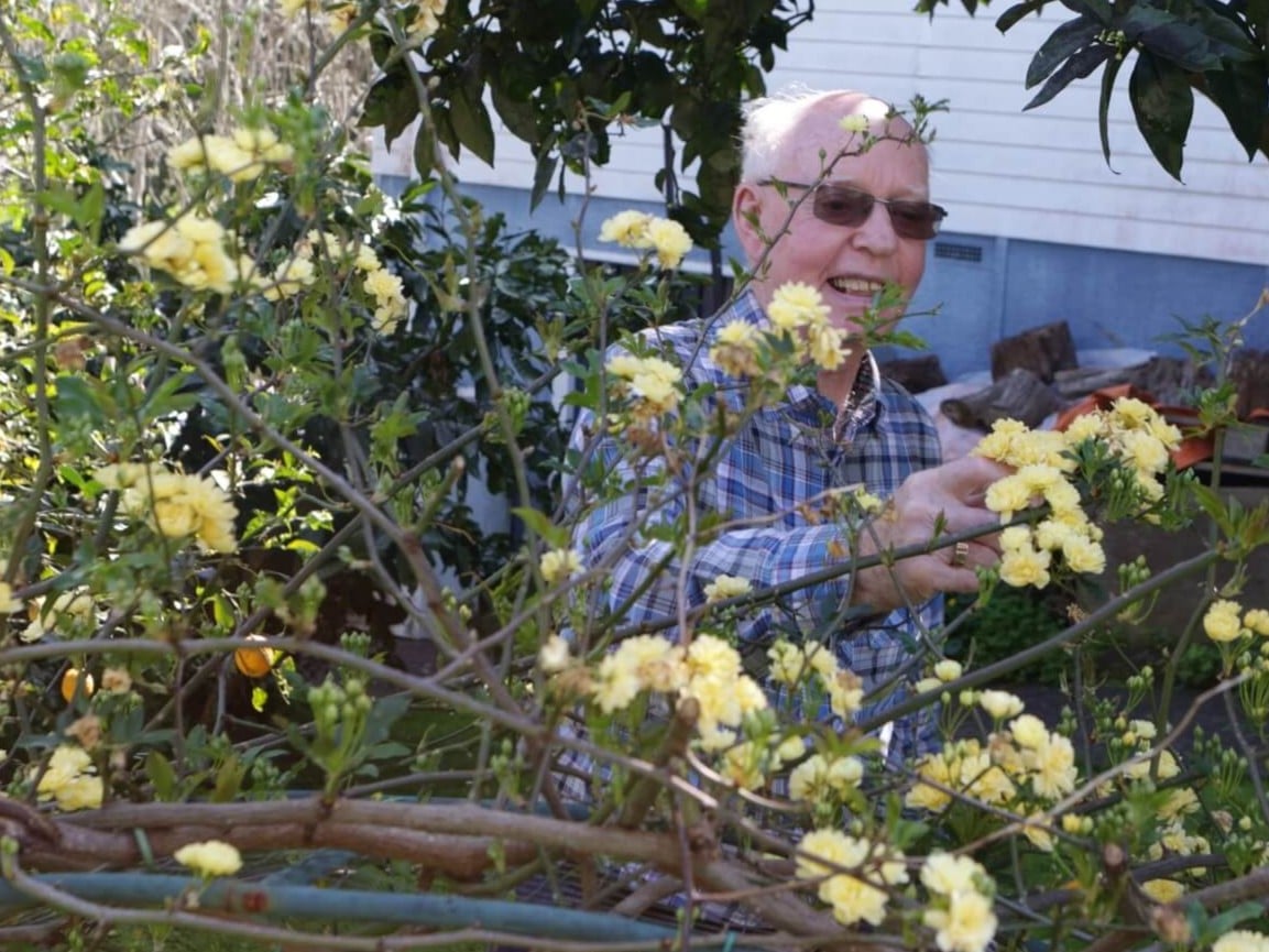 Cherished Memories 3 - Hot Butter Video Client